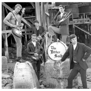 BITTER SEEDS / ROCK SHOP - State of your mind