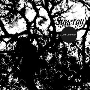 LIBERMAN, Jeff - Synergy