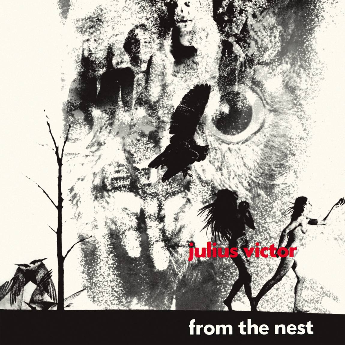 JULIUS VICTOR - From The Nest