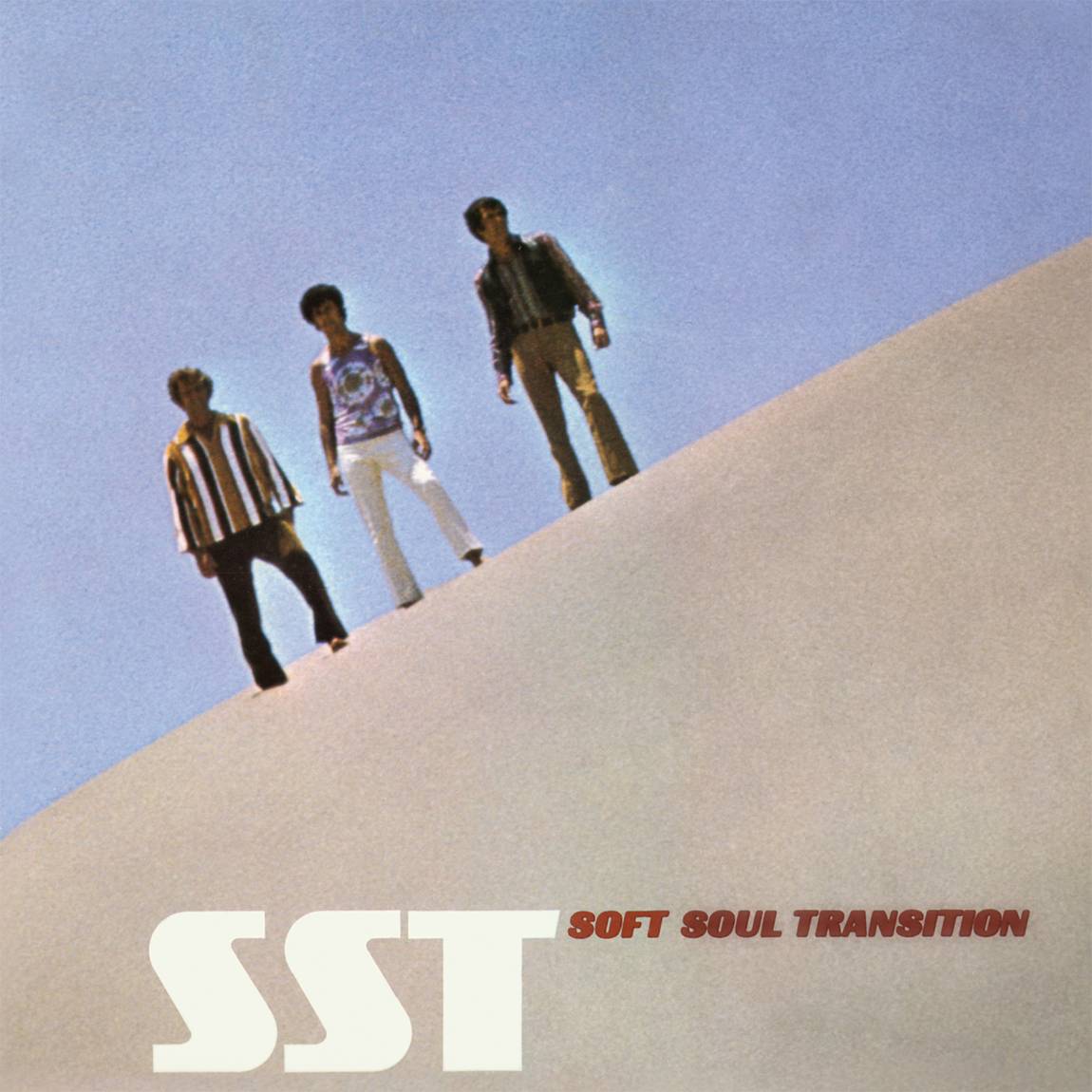 SOFT SOUL TRANSITION - SST